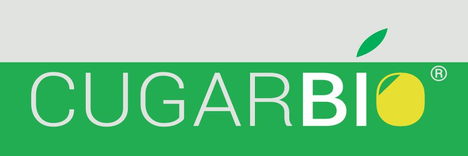 CUGARGESTION MANAGEMENT SL